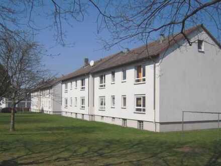 Singlewohnung im Grünen!