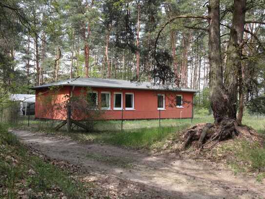 Traumhafter Bungalow im Grünen in den Gosener Bergen