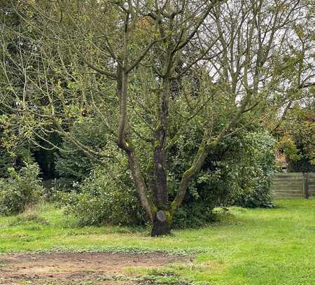 Baugrundstück für DHH, DH oder EFH in Holzheim