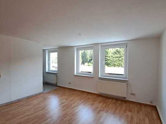 Helle, frisch renovierte 2-Zimmer-Wohnung in Großschönau