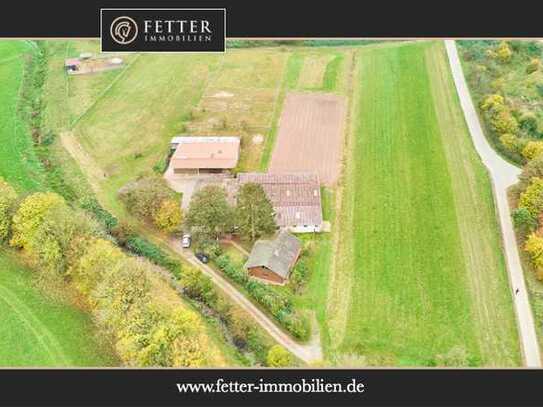 Ruhig gelegener Pferdehof in Lorsch an der Bergstraße mit romantischem Holzhaus!