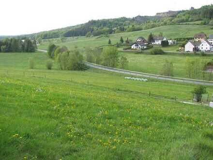 Großes Baugrundstück (1193m²) in Ortsrandlage (35236 Oberdieten)