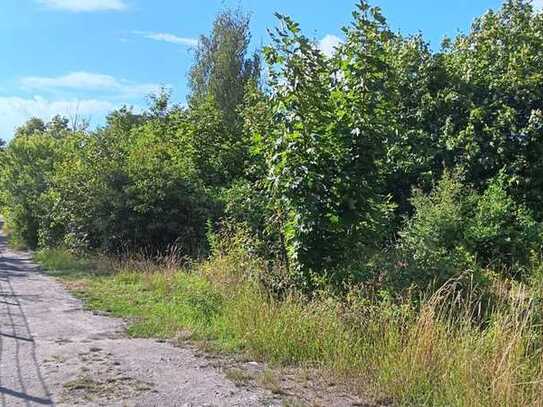 Grundstück in Saalfeld zu verkaufen