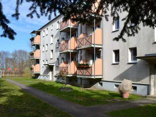 Gemütliche kleine Wohnung auf dem Land