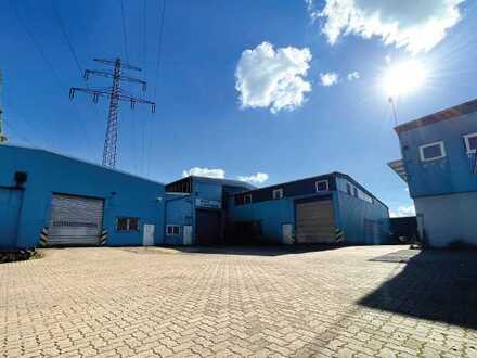 Kleine Halle zur flexiblen Nutzung zu vermieten