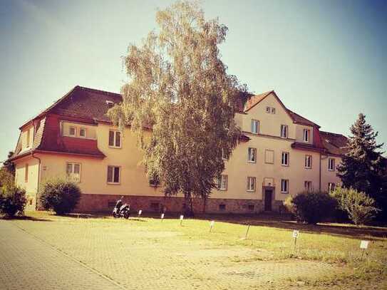 Helle und sanierte 2-Raum-Wohnung in einem gepflegten Mehrfamilienhaus in Coswig