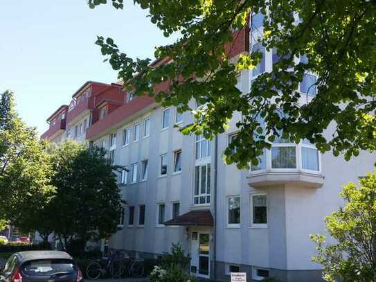 Modern geschnittene vermietete 2- Raum -Wohnung mit Balkon in Wernigerode/Charlottenlust