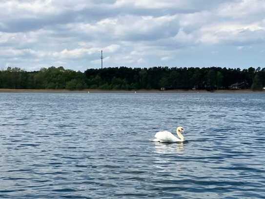 Der Sommer am Scharmützelsee!