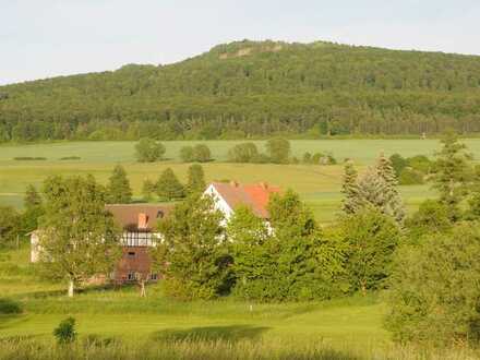 Alte Mühle in Thüringen - Einzellage mit sehr großem Grundstück - Option für zusätzliche Flächen
