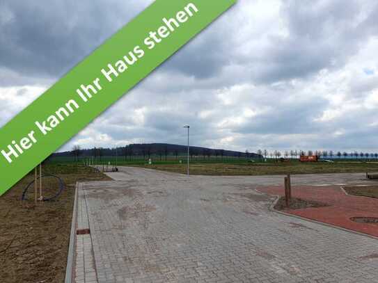 Sie das Grundstück, wir das Massivhaus. Familienleben auf einer Ebene in Schulenburg.