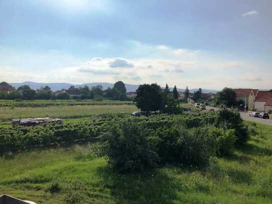 Bauerwartungsland im zukünftigen Baugebiet " Haßlocher / Böhler Strasse"