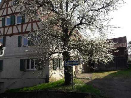 Baugrundstück mit Altbestand mitten in Dußlingen