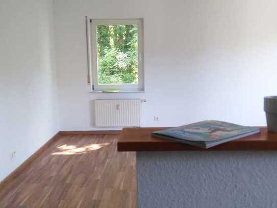 Moderne Wohnung im Grünen ! 2 1/2 Zimmer mit Südbalkon und EBK in Steinheim an der Murr