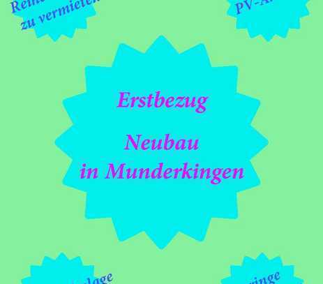 Neubau von drei Reihenhäusern in Munderkingen mit niedrigen Nebenkosten