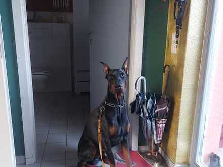 WG mit Hund sucht neue/n Mitbewohner/in