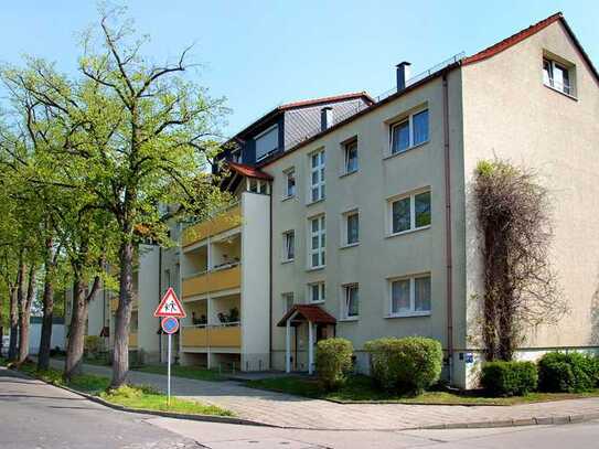 Tolle Single-Wohnung in Salzelmen!