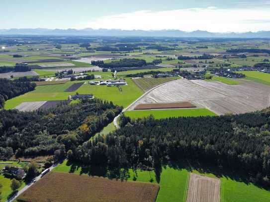 15,5 ha Wald südlicher Landkreis MÜ - Gebotsverfahren