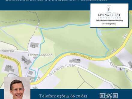 Großes, landwirtschaftliches Grundstück mit Wald und Wissen in Seebach zu verkaufen