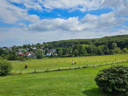 Blick über ihre Wiese!Fachwerkhaus mit viel Potenzial auf großem Grundstück