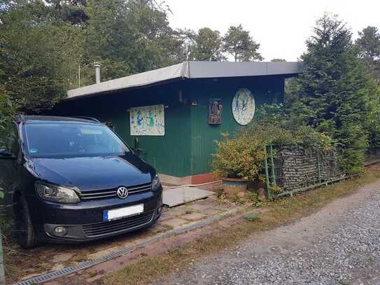 Ferienhaus direkt am See. Ferienhaus im Wald am See. Haus kaufen Landkreis Gifhorn.