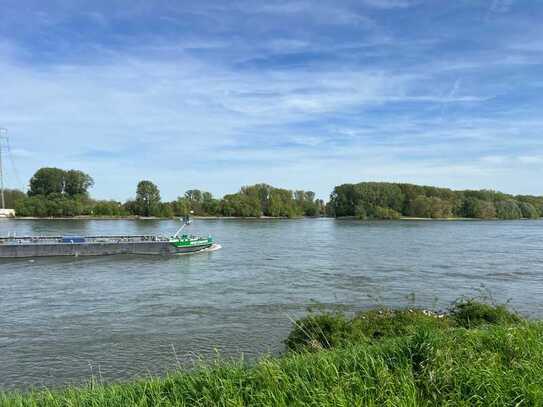 Bieterverfahren - 1. Rheinlage - 1-2 Familienhaus auf traumhaftem Grundstück