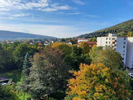 Sonnige Traum-Wohnung mit Kaiserblick in Springe