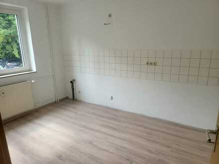 Kleine neu renovierte Wohnung in Gelsenkirchen-Erle