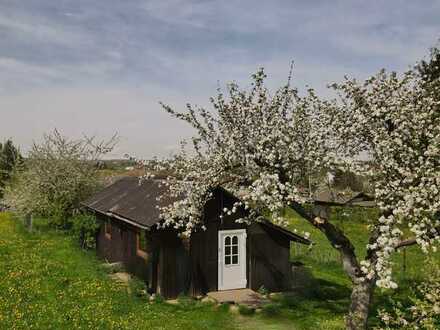 ++Gartenliebhaber aufgepasst++ Einmalige Gelegenheit am Galgenberg