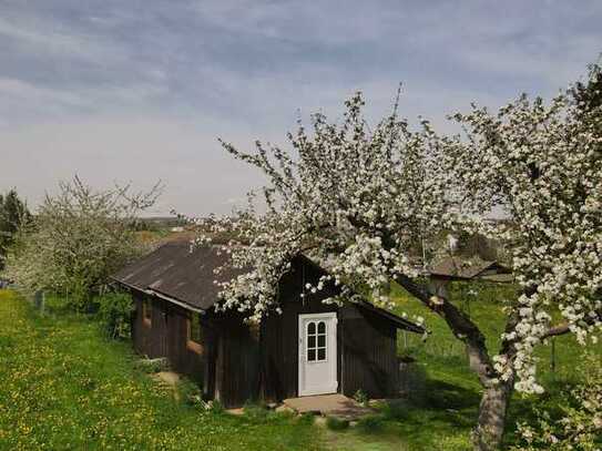 ++Gartenliebhaber aufgepasst++ Einmalige Gelegenheit am Galgenberg