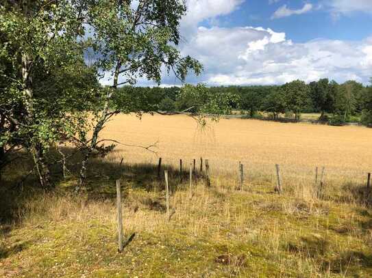 17 ha Acker - und Grünland gegen Gebot zu verkaufen