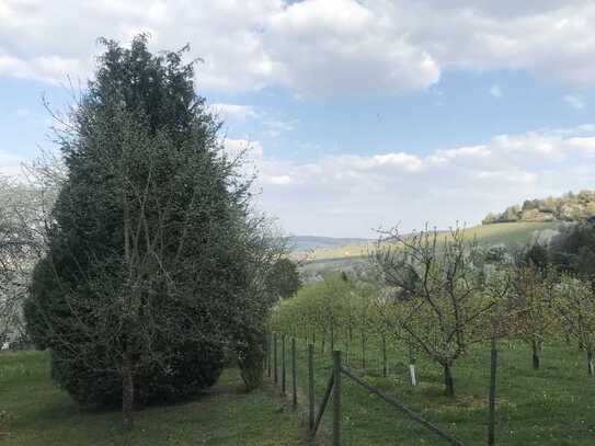 Freizeitgrundstück mit einem traumhaften Blick in den Wald und auf die Weinberge