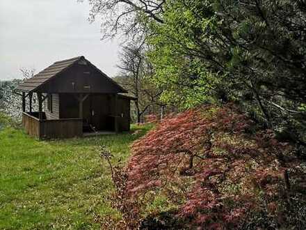 Freizeitgrundstück am Waldrand mit Gartenhaus