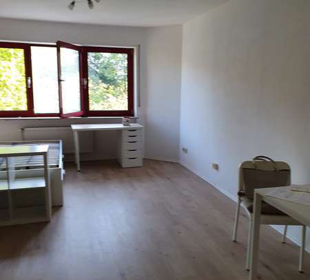 Beginnen Sie das neue Jahr in Ihrer neuen Wohnung! Gemütliche 1-Zimmer-Wohnung in Neuwied