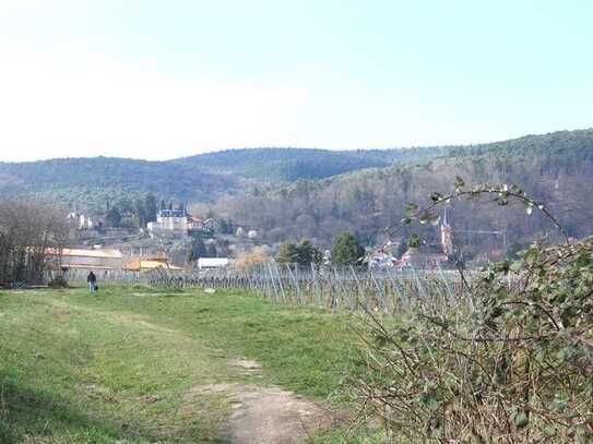 Wohnen zwischen Weinbergen und Pfälzerwald