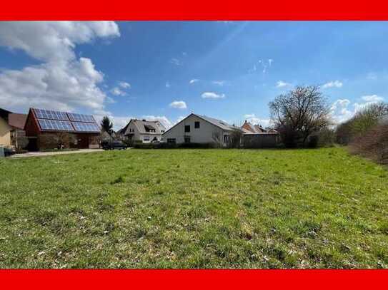 Rarität - Großzügiges Wohnbaugrundstück in Horrheim