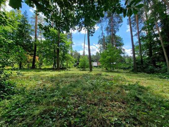 Naturbelassenes idyllisch und ruhig gelegenes Grundstück in Eggersdorf in Seenähe