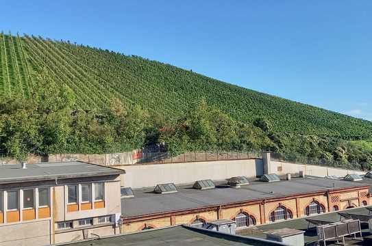 4-Zimmer-DG-Wohnung mit Blick auf die Weinberge