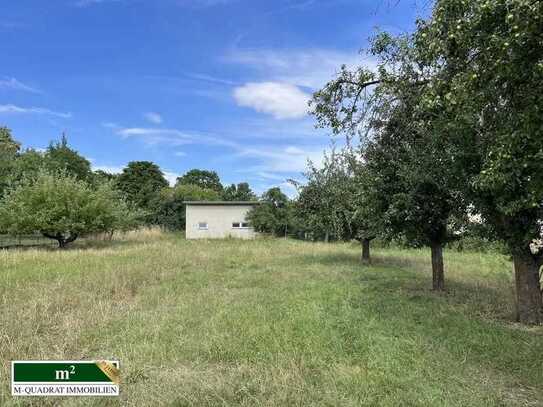 Ca. 4400 m² großes Grundstück in Borna/ Neukirchen, mitten im Leipziger Neuseenland.