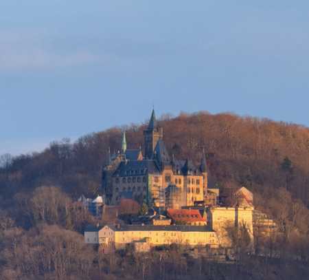 "Das Schloß im Blick" - Penthouse im Wernigeröder Stadtgarten