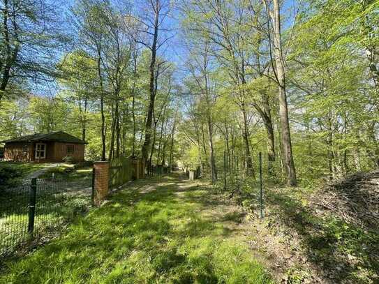 Wald am Golfplatz