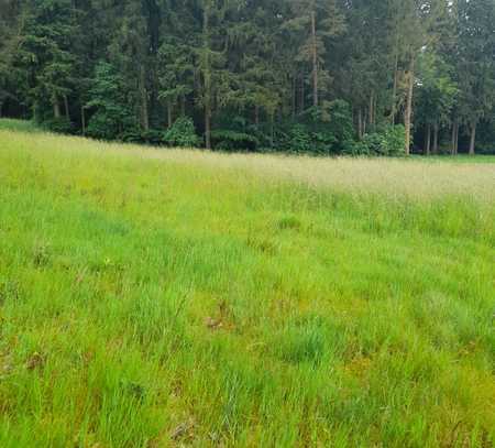 Landwirtschaftliches Grundstück / Ausgleichsfläche