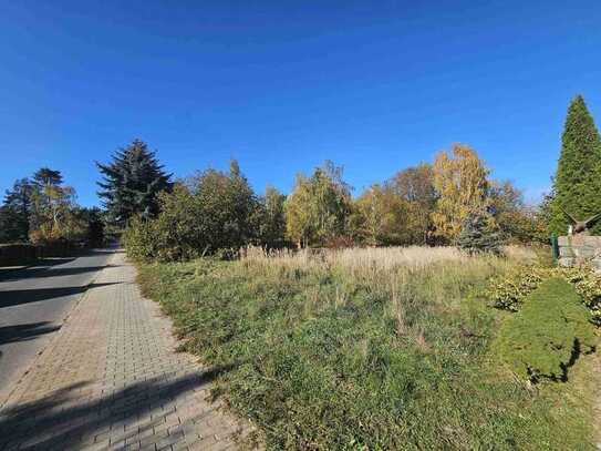 Baugrundstück mit 8.848m² Fläche innerhalb eines Bebauungsplans in Altlandsberg!