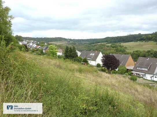 Großzügiges Baugrundstück in Hanglage