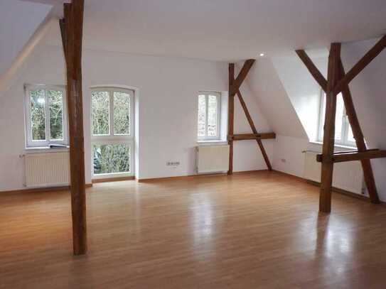 Attraktive Wohnung mit Kaminofen-Anschluss und Küche