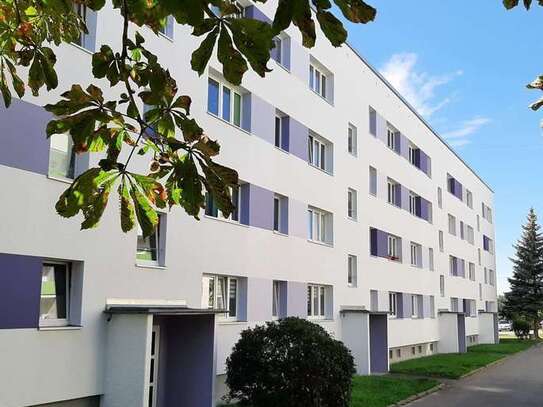 IHRE NEUE 4 ZIMMER-WOHNUNG MIT BALKON IM OBERGESCHOSS -FRISCH RENOVIERT-