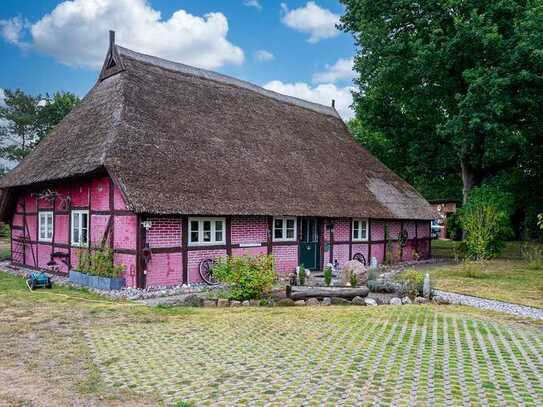 Charmantes Reetdachhaus mit großem Grundstück