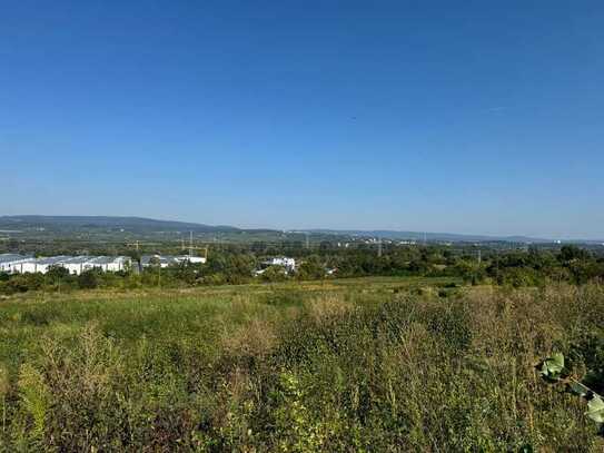 Einzigartiges Baugrundstück im Neubaugebiet ,,Am Wäldchenloch" / Zusammenlegung auf 919m² möglich