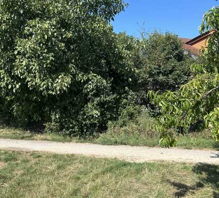 Wiesloch-Frauenweiler/ Naturnahes ruhiges Baugrundstück/Feldrandlage