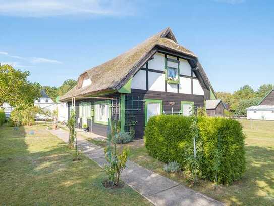 Schilfrohrgecktes Holzhaus auf großem Grundstück