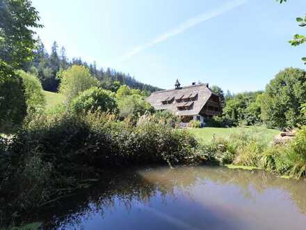 Naturverbundenes und imposantes Anwesen mit riesigem Grundstück soweit das Auge reicht